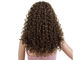 Tête noire africaine d'explosion de petit pain de couleur de Vierge de cheveux de pleines perruques naturelles de dentelle petite fournisseur