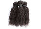 Vrais prolongements de cheveux de Remy de couleur naturelle durables sans noeuds ou poux fournisseur